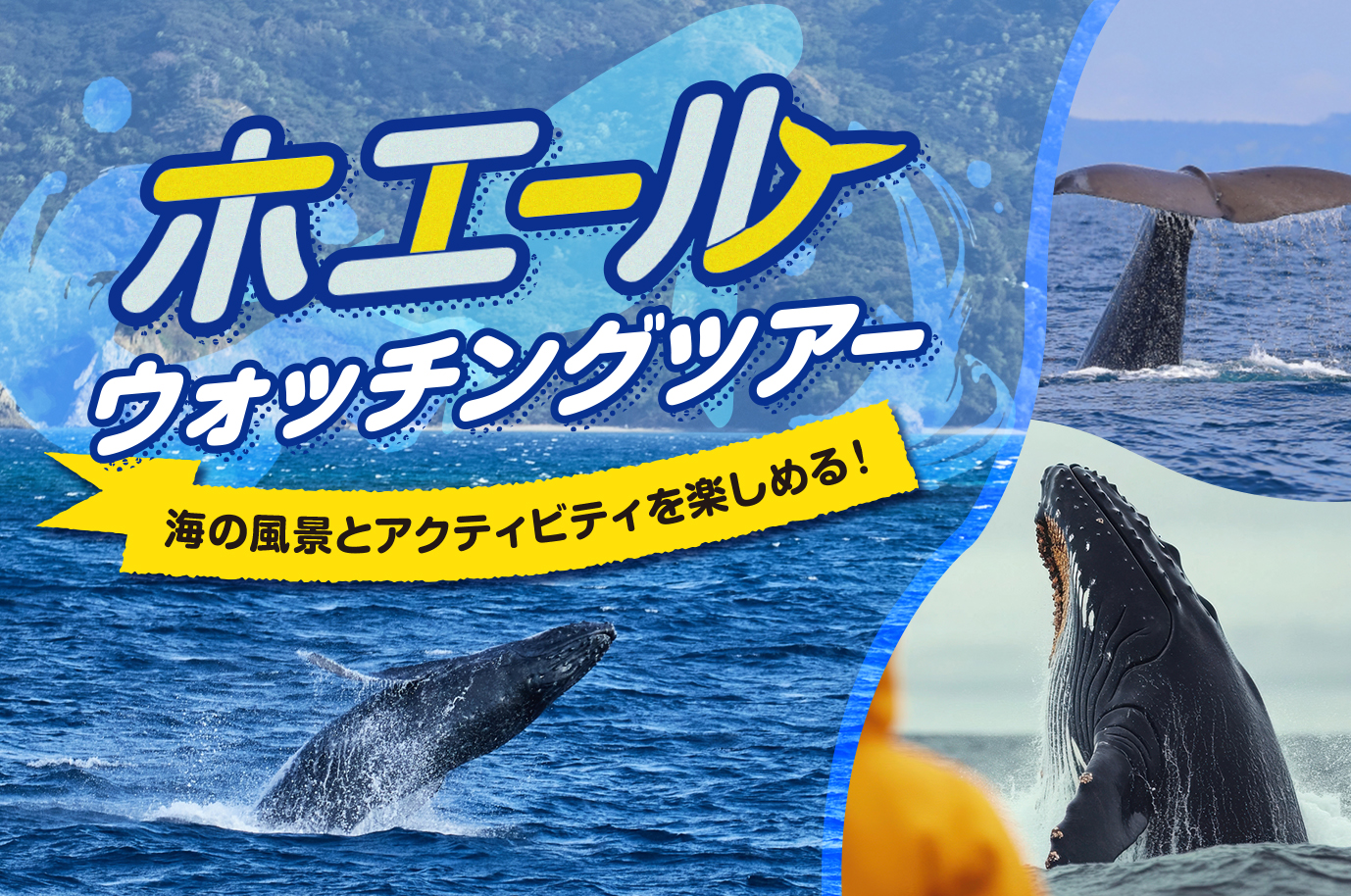 2025年最新版】沖縄レンタカーで行く！絶景クルーズ！ホエール