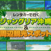 沖縄旅行はレンタカーがお得！ジャングリアと周辺観光ガイド