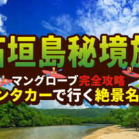 レンタカーで行く！石垣島マングローブ探検：沖縄旅行上級者向け！秘境クルーズで絶景体験