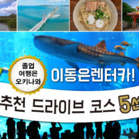 【2025년】졸업여행은 오키나와, 이동은 렌터카! 추천 드라이브 코스 5선!