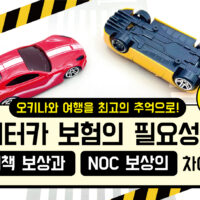 【2024년】오키나와 여행을 최고의 추억으로! 렌터카 보험의 필요성, 면책 보상과 NOC 보상의 차이