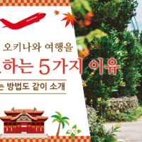 가을의 오키나와 여행을 추천하는 5가지 이유 | 즐기는 방법도 같이 소개
