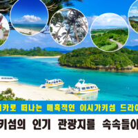 렌터카로 떠나는 이시가키섬 드라이브 여행! 인기 관광 명소 완전 정복!