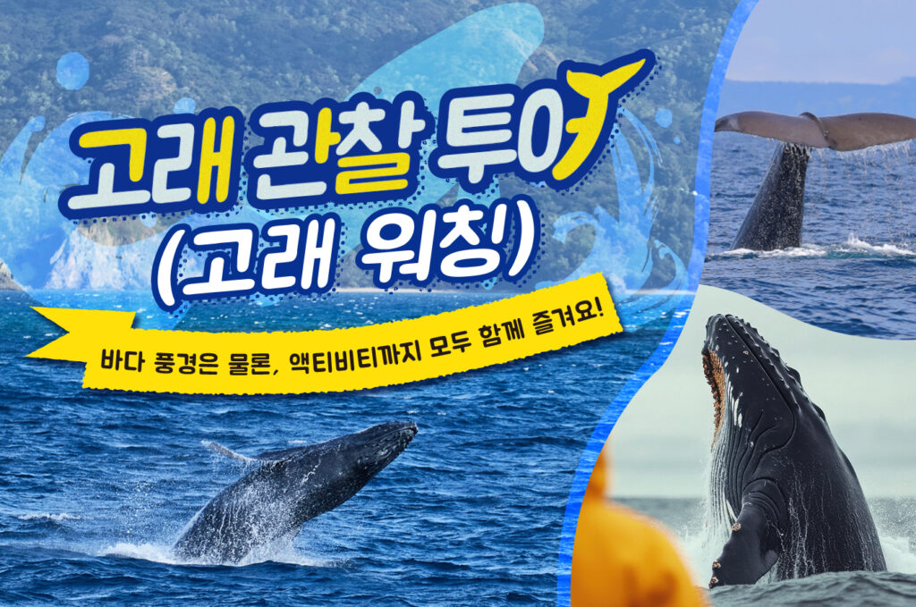 【2025년 최신판】오키나와 렌터카와 함께 떠나자! 멋진 크루즈 관광! 고래 관찰 투어 완벽 가이드