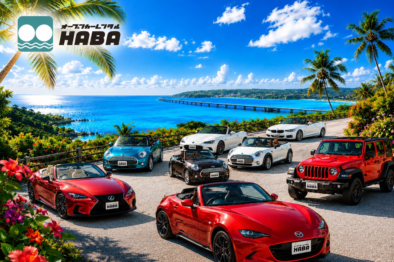 オープンカーレンタルHABA車"