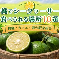 沖縄でシークヮーサーが食べられる場所10選｜農園・カフェ・道の駅を紹介