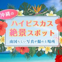 沖縄のハイビスカス絶景スポット｜南国らしい写真が撮れる場所