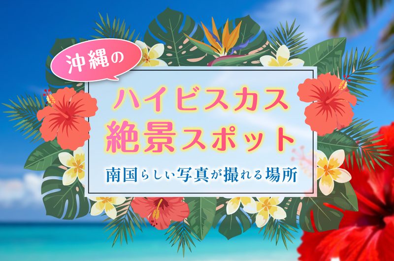 沖縄のハイビスカス絶景スポット｜南国らしい写真が撮れる場所