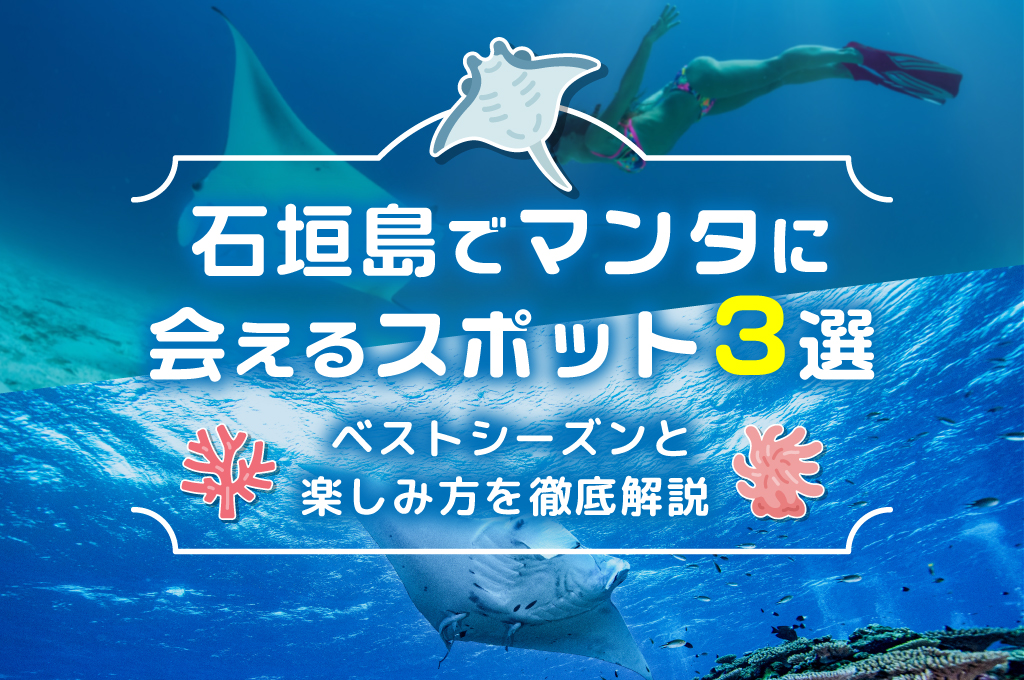 石垣島でマンタに会えるスポット3選｜ベストシーズンと楽しみ方を徹底解説